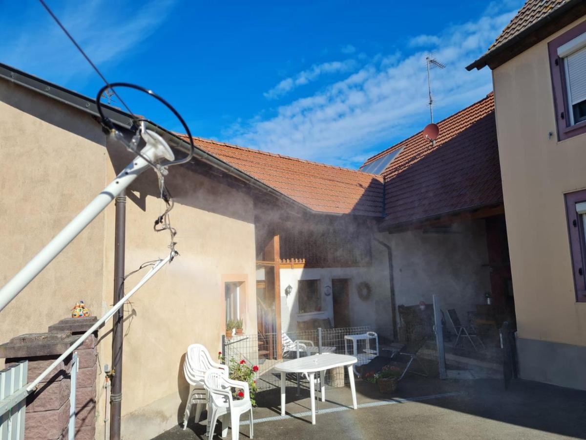 Les Chouchous Du Ried 1 Apartamento Saasenheim Exterior foto